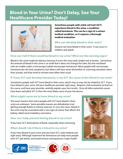 Blood in Your Urine? Don't Delay (SCT) preview