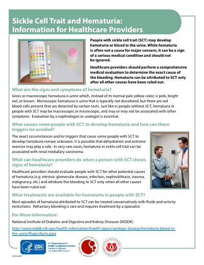 Sickle Cell Trait and Hematuria — Provider Brief preview